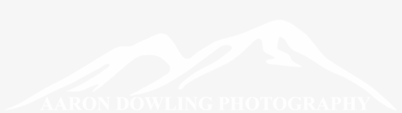 Pin It On Pinterest - Blog, transparent png #519552