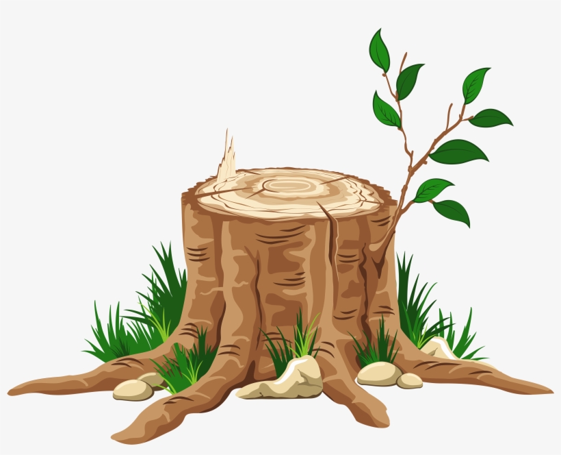 Jesse Tree, transparent png #519734