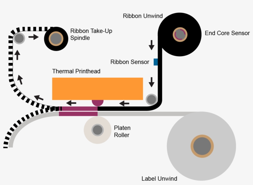 Printer Mechanics - Ribbon Types Motion Picture Film, transparent png #5101108