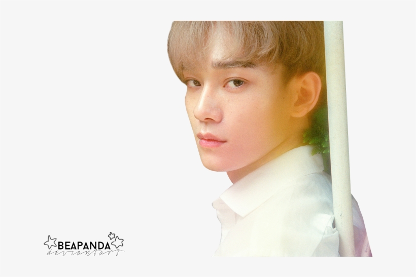 #exo Chen #exo Chen 2017 #exo Chen Ko Ko Bop #chen - Chen Kokobop, transparent png #5101545