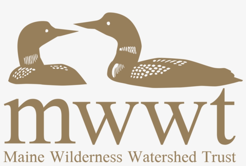 Mwwt Logo Gold-darker For Print - Hairy Legs In Winter, transparent png #5103612