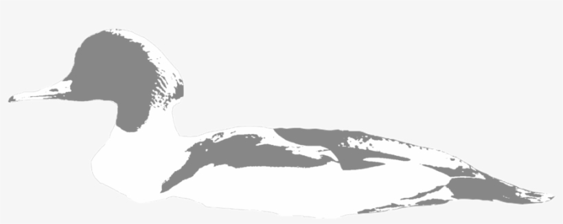 Common-merg - Portable Network Graphics, transparent png #5103907