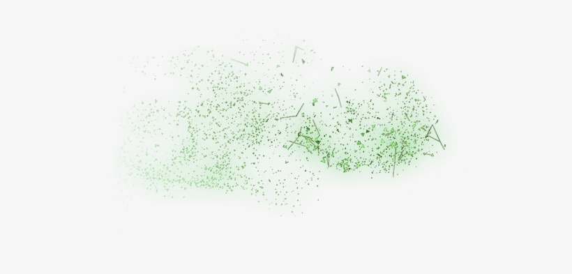 242 - Chlorophyta, transparent png #5104182