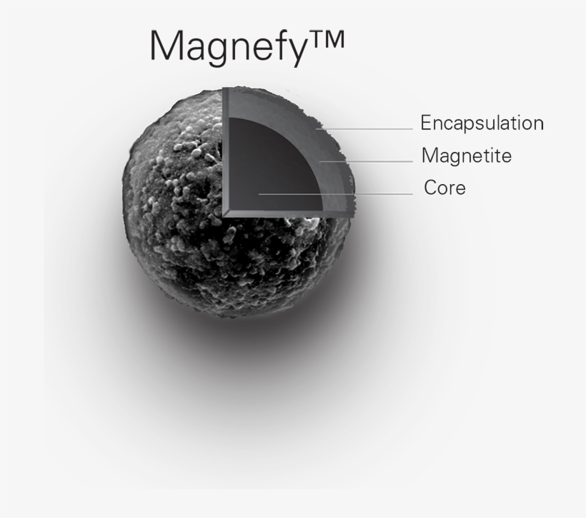 Bangs Laboratories, Inc., transparent png #5104342