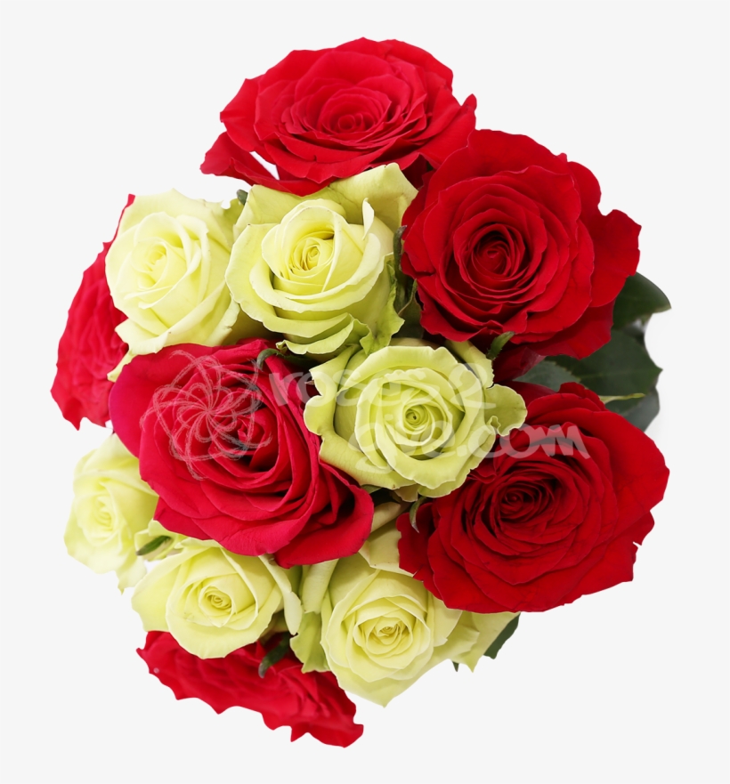 Red - Green Combination - Red And Yellow Rose Png, transparent png #5104649