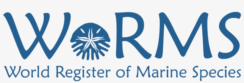 Worms Editorial Board - Marine Species Worms, transparent png #5104796