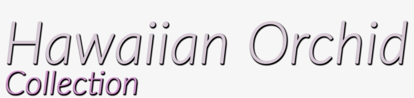 Our Studios Are Strategically Located Right In The - Hawaii, transparent png #5104985