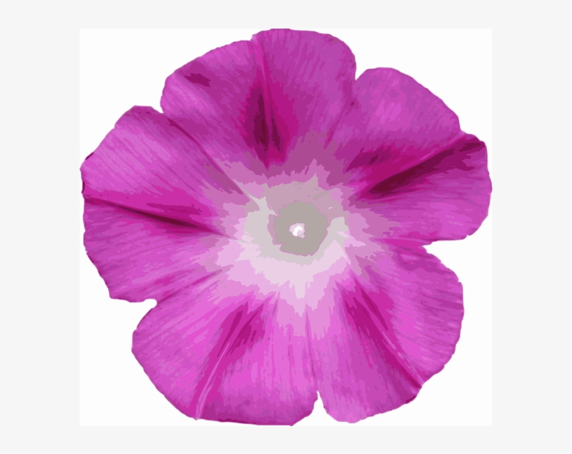 Hearts Free Morning Glory - Morning Glory Clipart, transparent png #5105901