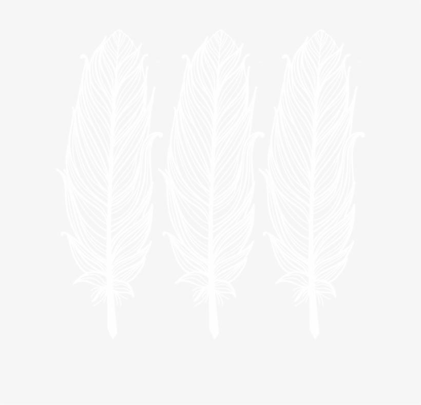 White Feather - Wordpress Logo White Png, transparent png #5106189