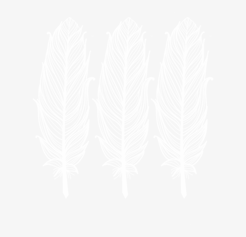 White Feather - Wordpress Logo White Png, transparent png #5106189