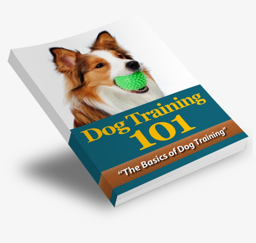 We Send Out The Download Link For The Ebooks Along - Dog, transparent png #5109060