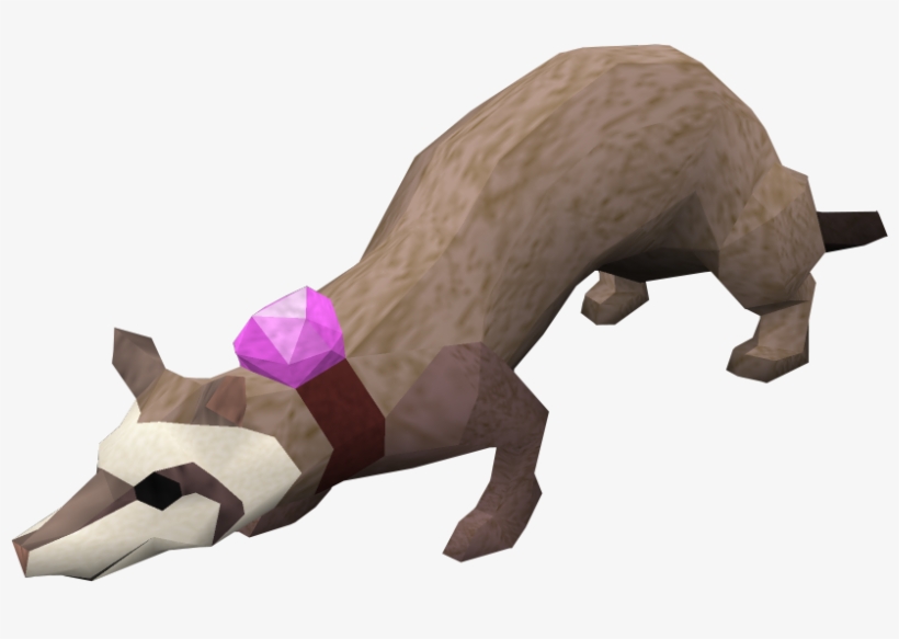 This Reminds Of Me That Annoying Ass Dungeoneering - Runescape Ferret, transparent png #5109706