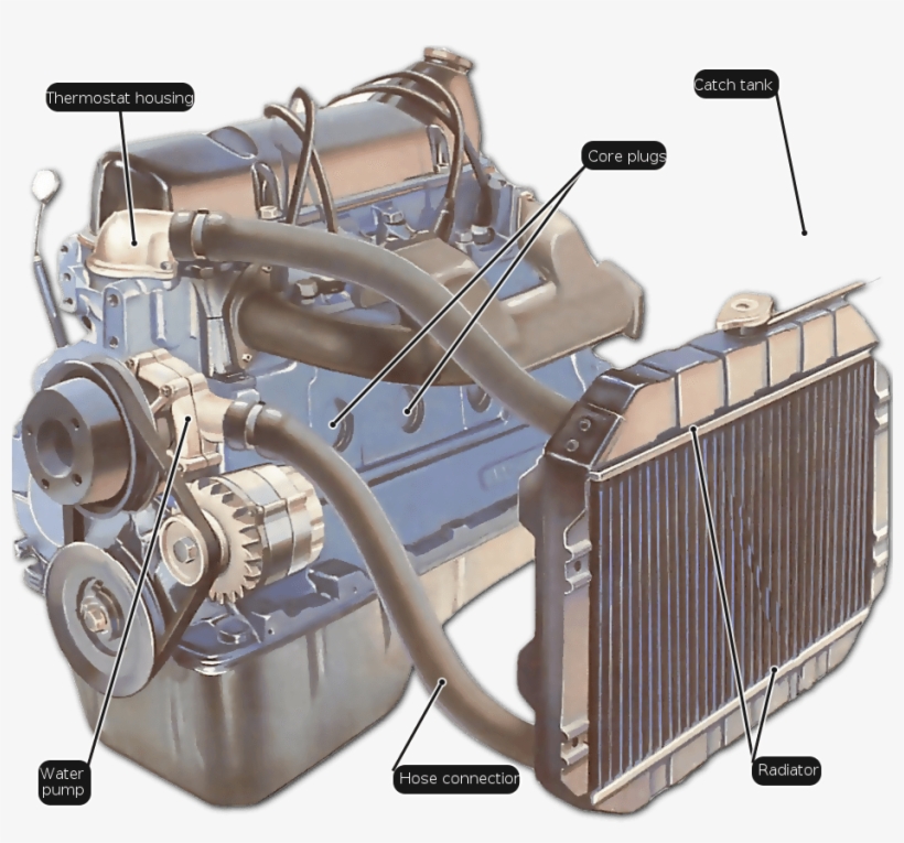 Manguera Del Radiador Al Motor, transparent png #5110180
