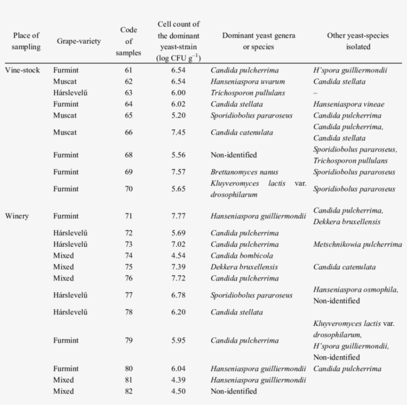 Taxonomic Composition Of The Yeast Biota Detected On - Document, transparent png #5110748