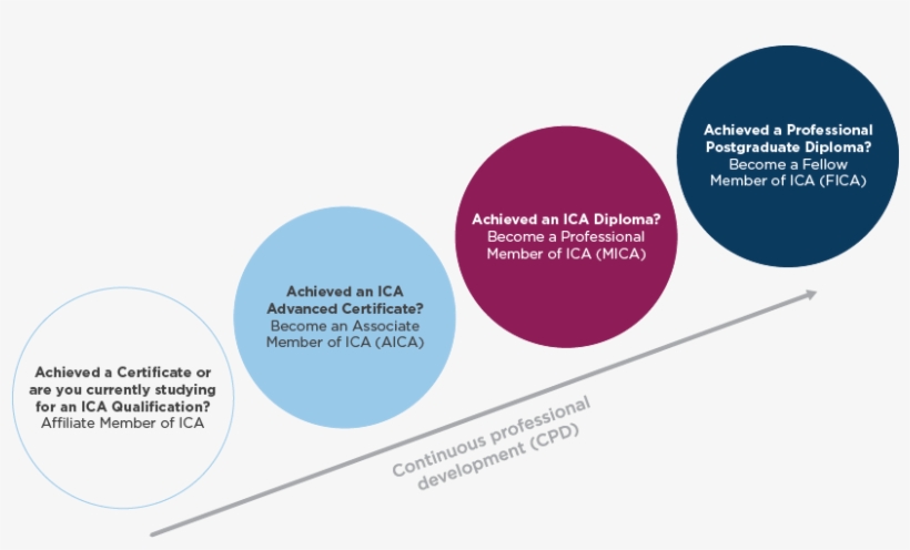 Affiliate Member - Anti-money Laundering Software, transparent png #5111527