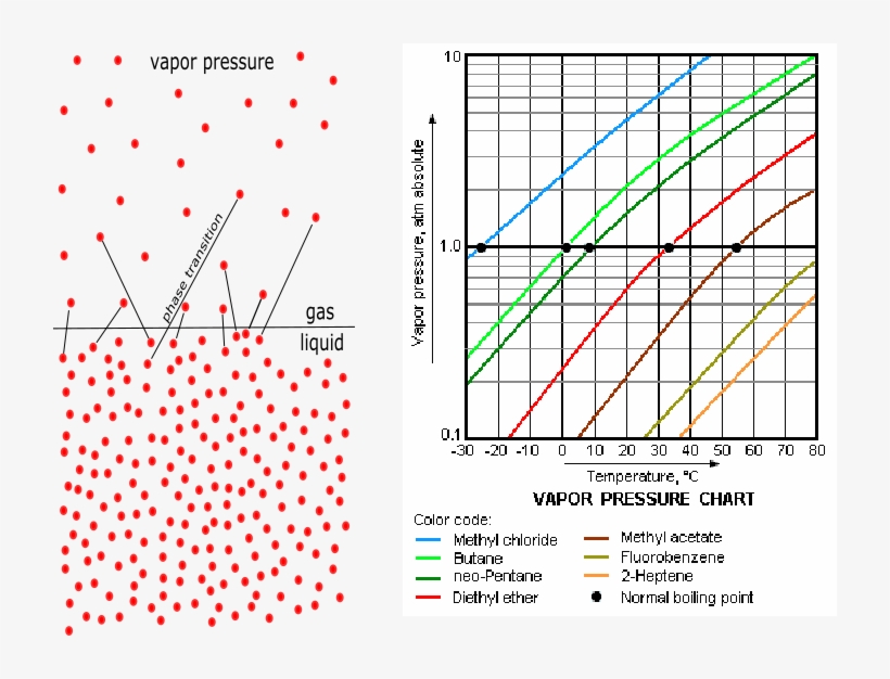 Vapor Pressure Illustration And Plots - Nicotine Vapor Pressure Curve, transparent png #5112579