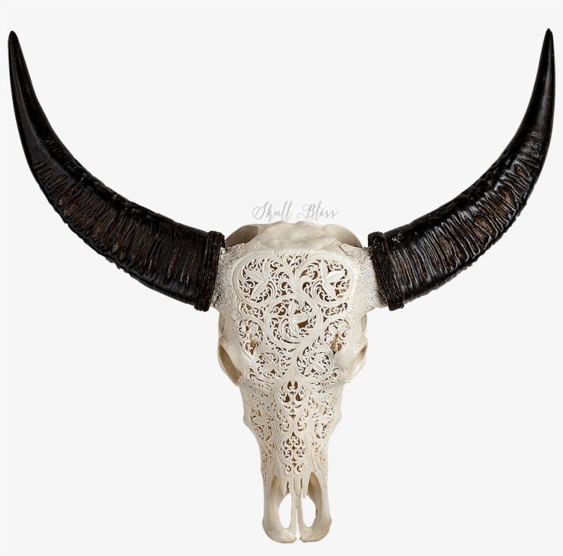 Skull, transparent png #5114044