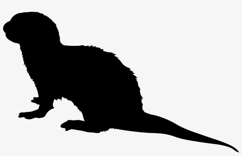 River Otter Black Silhouette - Silhouette Of An Otter, transparent png #5114285
