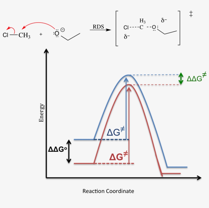 Solvent Effect Sn1 Mechanism - Sn1 Solvent Effect, transparent png #5115117