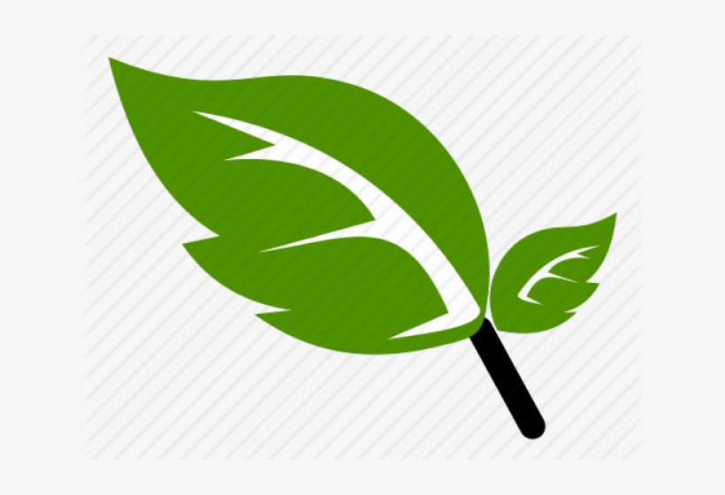 Green Leaf Icon Png, transparent png #5119595
