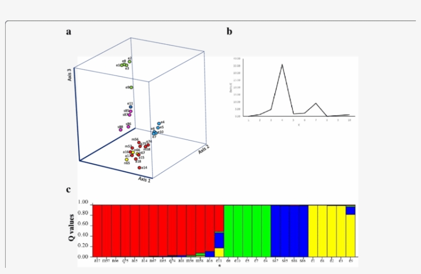 A Principal Coordinates Analysis Of 28 Accessions Of - Diagram, transparent png #5121001