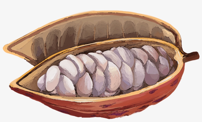 See The Impact Of The Lindt & Sprüngli Farming Program - Dinghy, transparent png #5121580