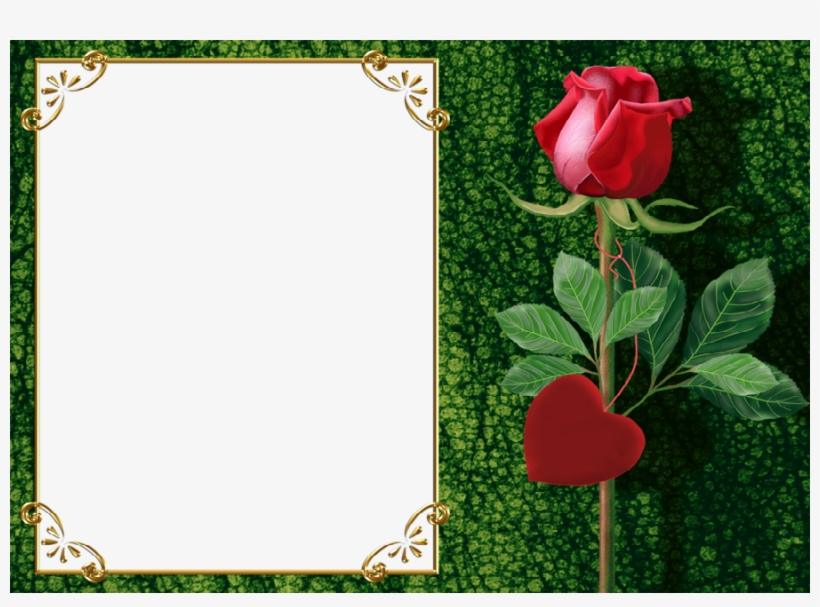 Фотоэффект С Категории - Rose Frame Photo Editor, transparent png #5122073