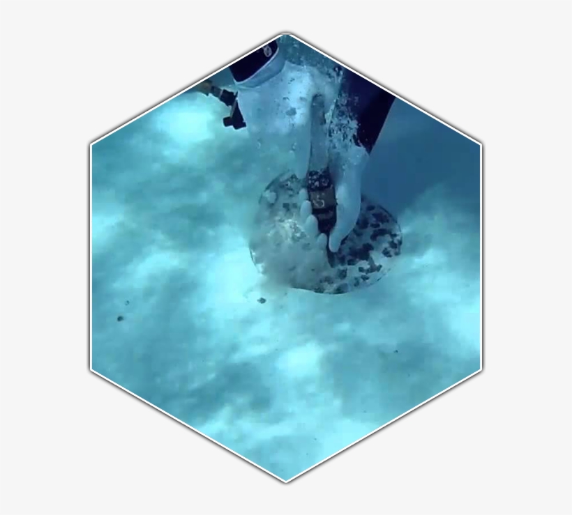 Underwater, transparent png #5123481