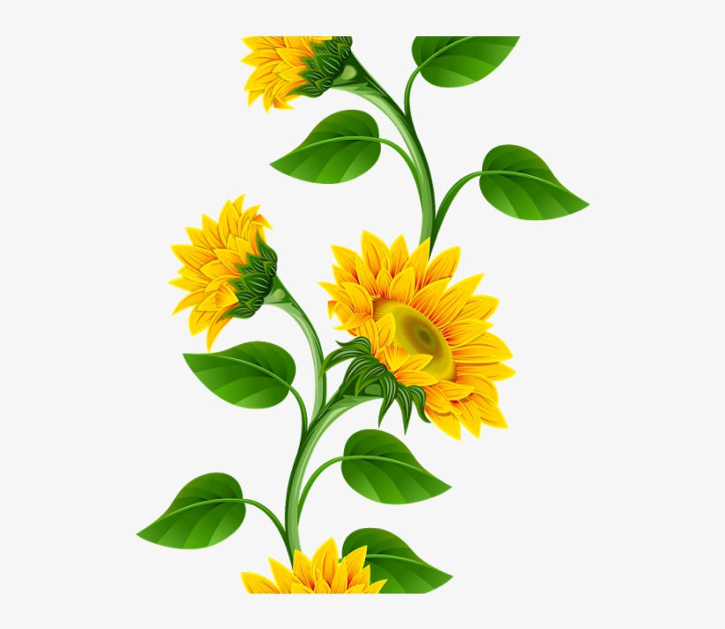 Clipart De Girassol Para Montagens Digitais Cantinho - Sunflower Flower Clip Art, transparent png #5123795