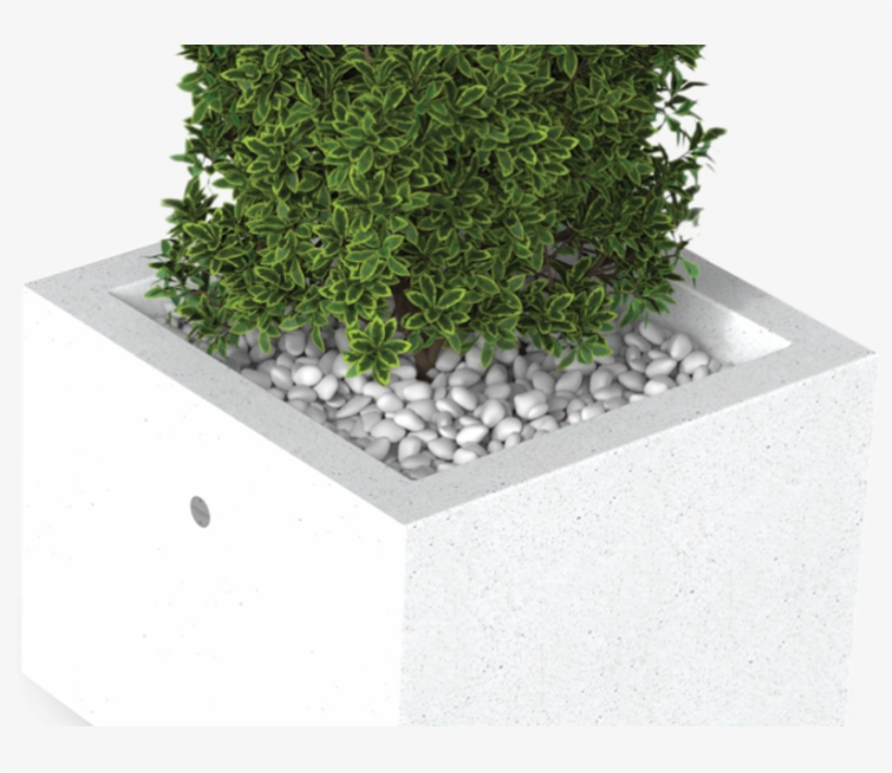 Id Created, Inc., transparent png #5124301