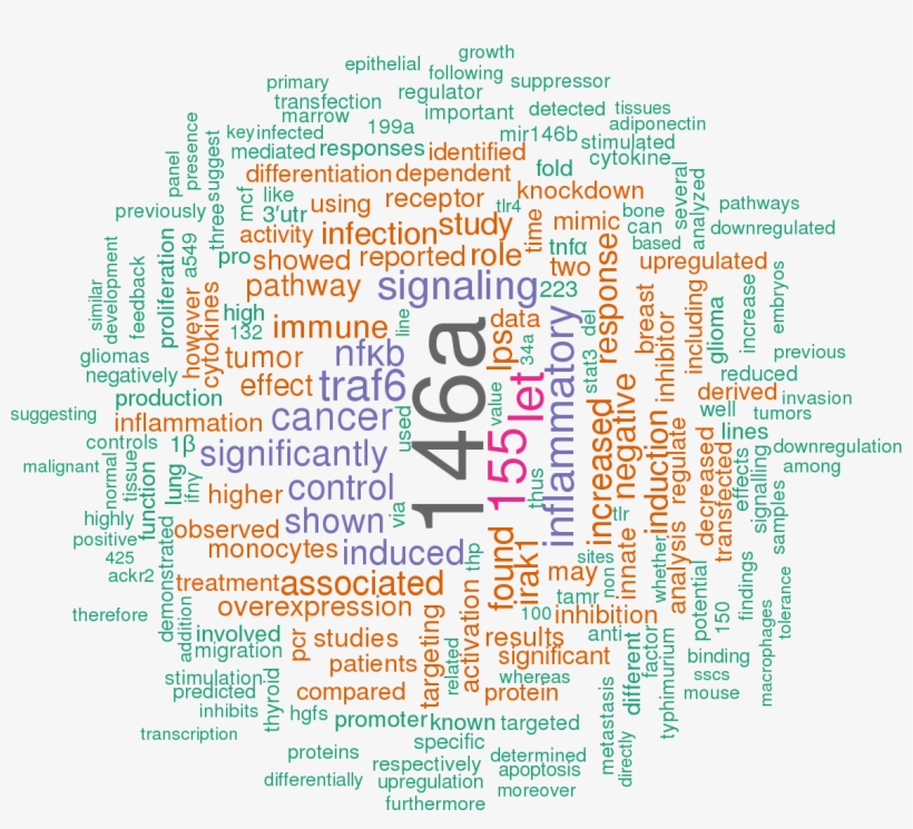 Sort By - Number, transparent png #5126043