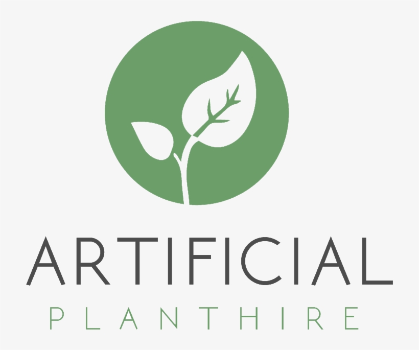 Artifical Plant Hire - Photography, transparent png #5126197
