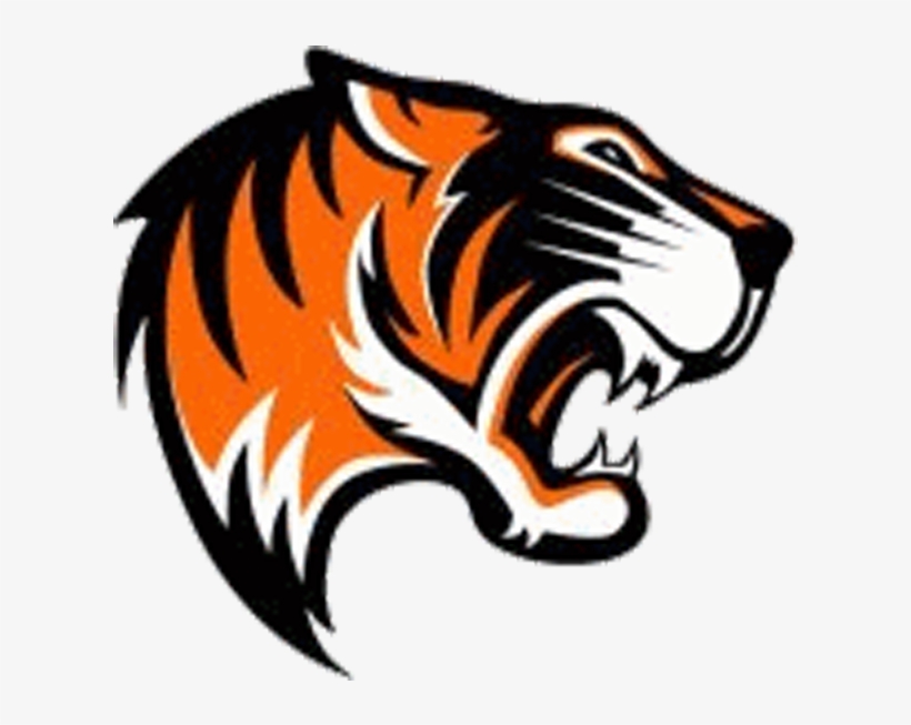 Tigres Nancy - Tigre, transparent png #5128938