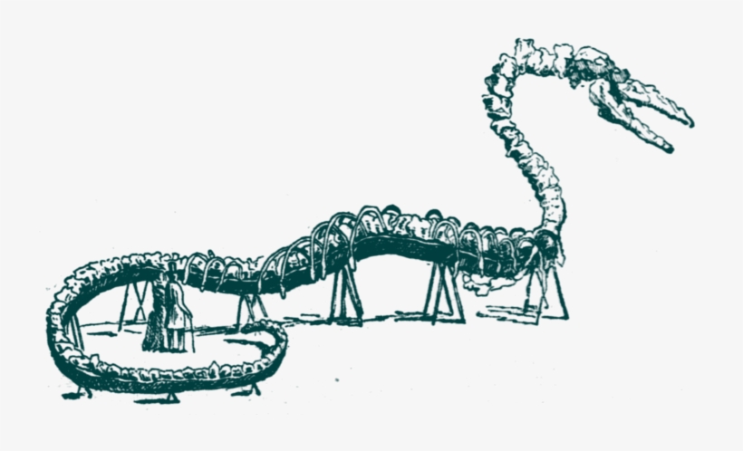 A Canadian River Monster - Insect, transparent png #5129104