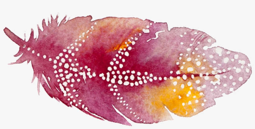 30 - Feather, transparent png #5131048