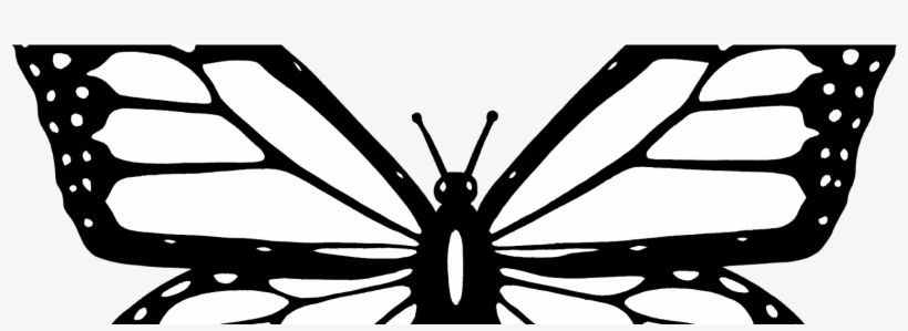 Sir Tomlin's Butterfly - Colouring Image Of A Butterfly, transparent png #5132440