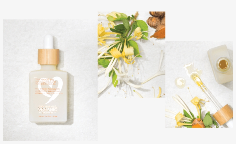 Description - Oil, transparent png #5132888