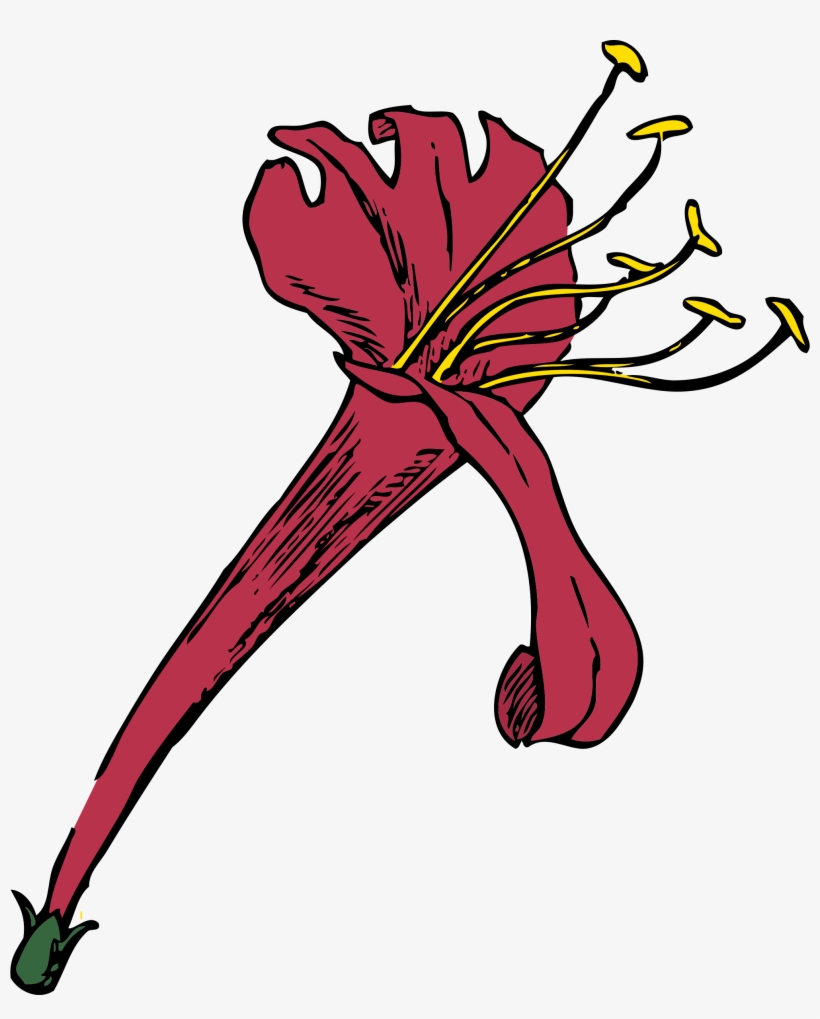 Honeysuckle Png, transparent png #5132965