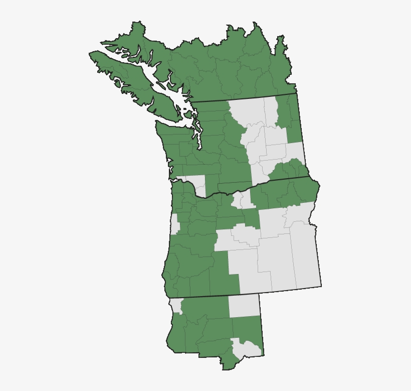 More Information - - Pacific Northwest, transparent png #5133876