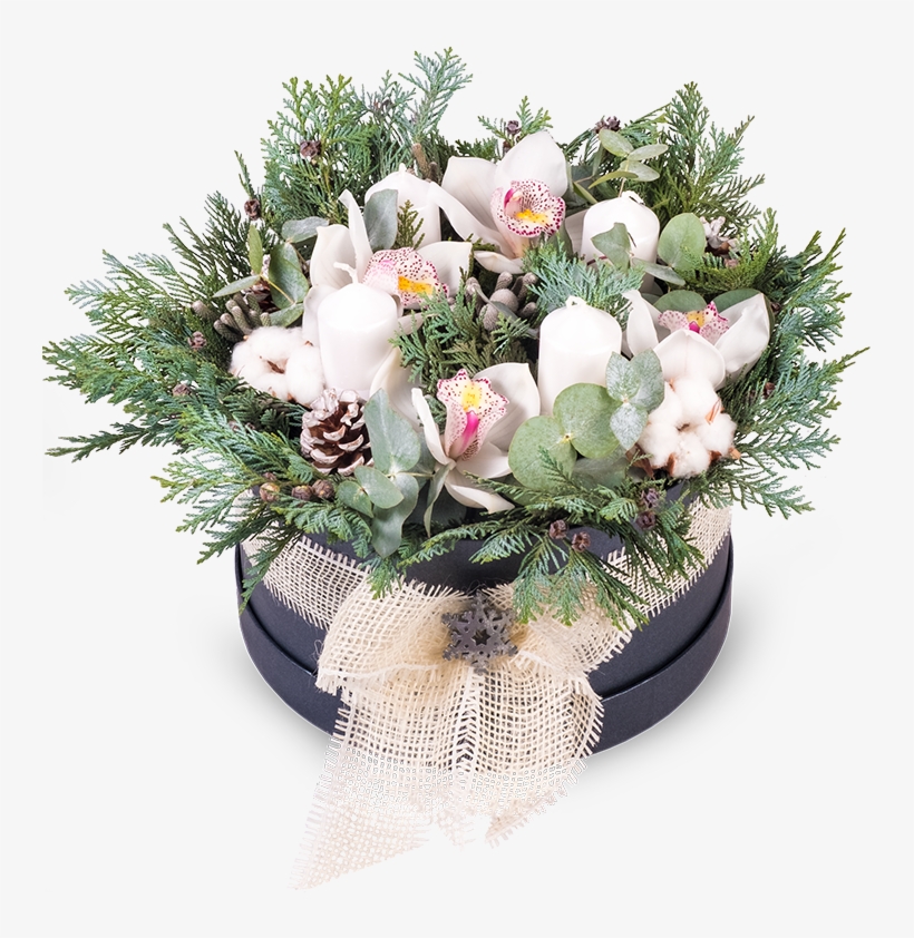 Winter Orchid Box - Bouquet, transparent png #5135303