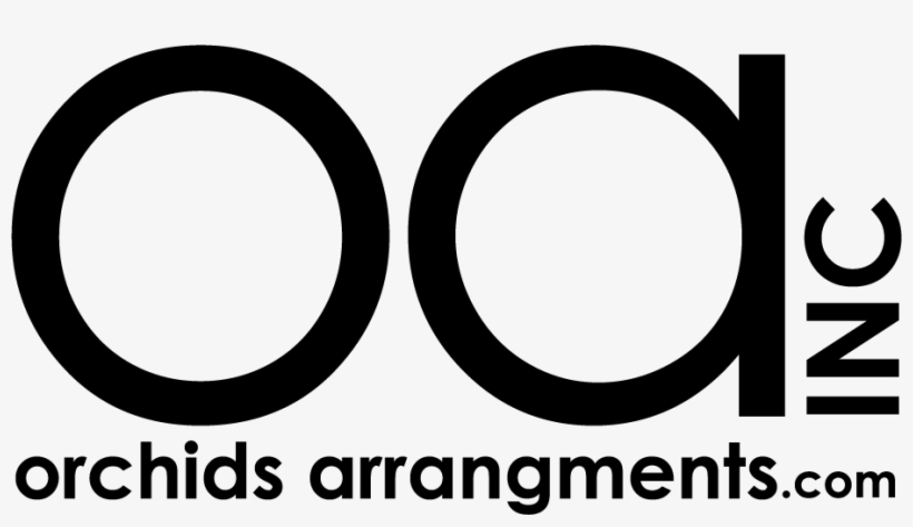 Orchids Arrangements Inc - Florida, transparent png #5135450