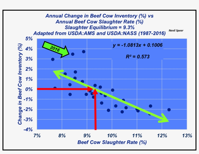 Alternatively, In Most Years, If Slaughter Falls Below - Cattle, transparent png #5135652