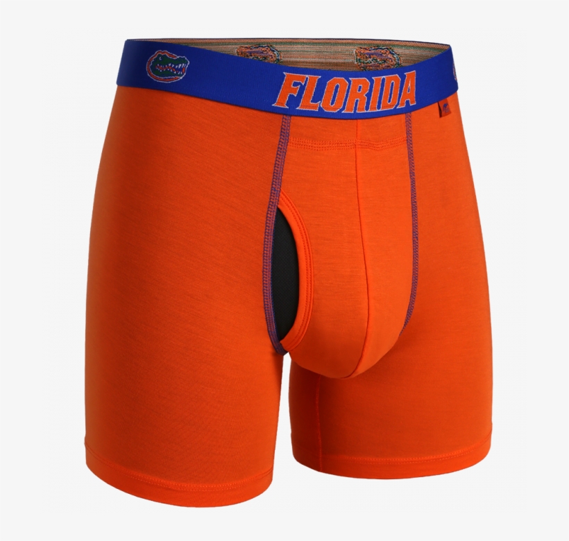 6in Boxer Brief - 2undr, transparent png #5136108