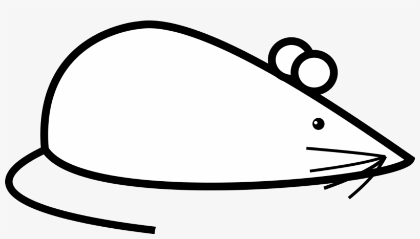 Mouse Clipart Simple ~ Frames ~ Illustrations ~ Hd - Simple Pictures Of Mouse, transparent png #5136908