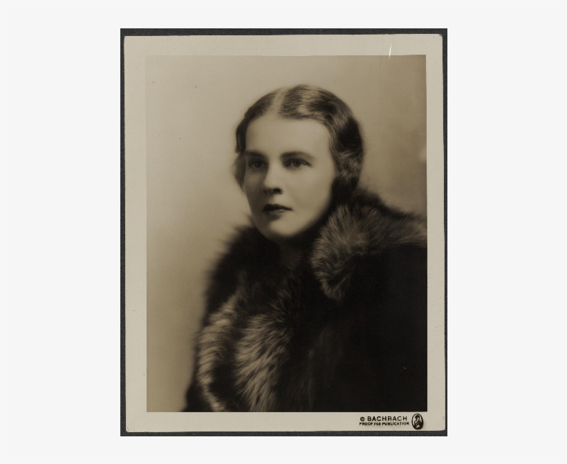 0 Replies 2 Retweets 2 Likes - Picture Frame, transparent png #5137495