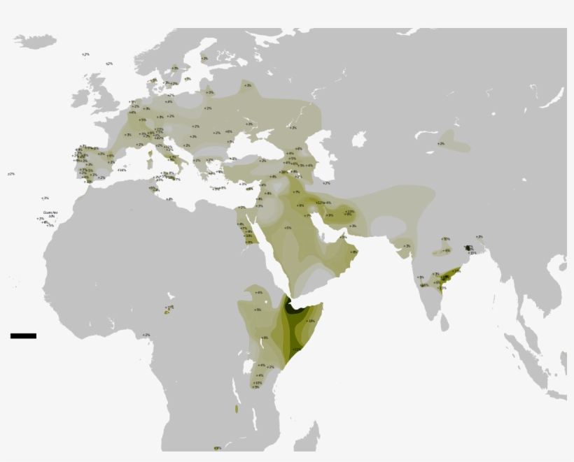 Haplogroup T, transparent png #5139027