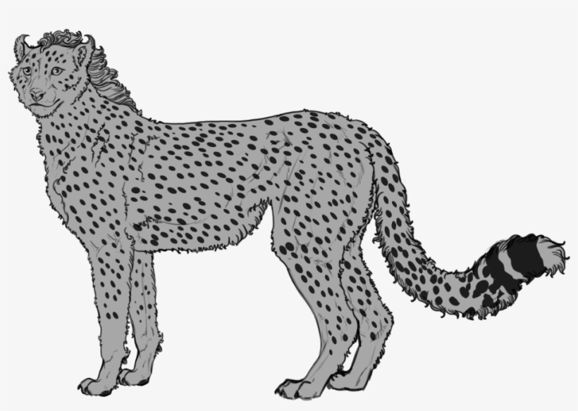 Cheetah Spot Png Jpg Black And White - Cheetah, transparent png #5142135