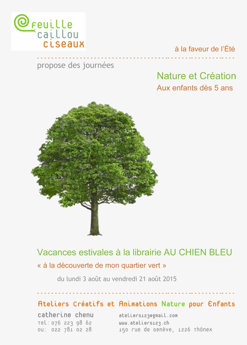 Atelier Feuille Caillou Ciseaux Summer Workshops, Geneva - Arbres, transparent png #5143590