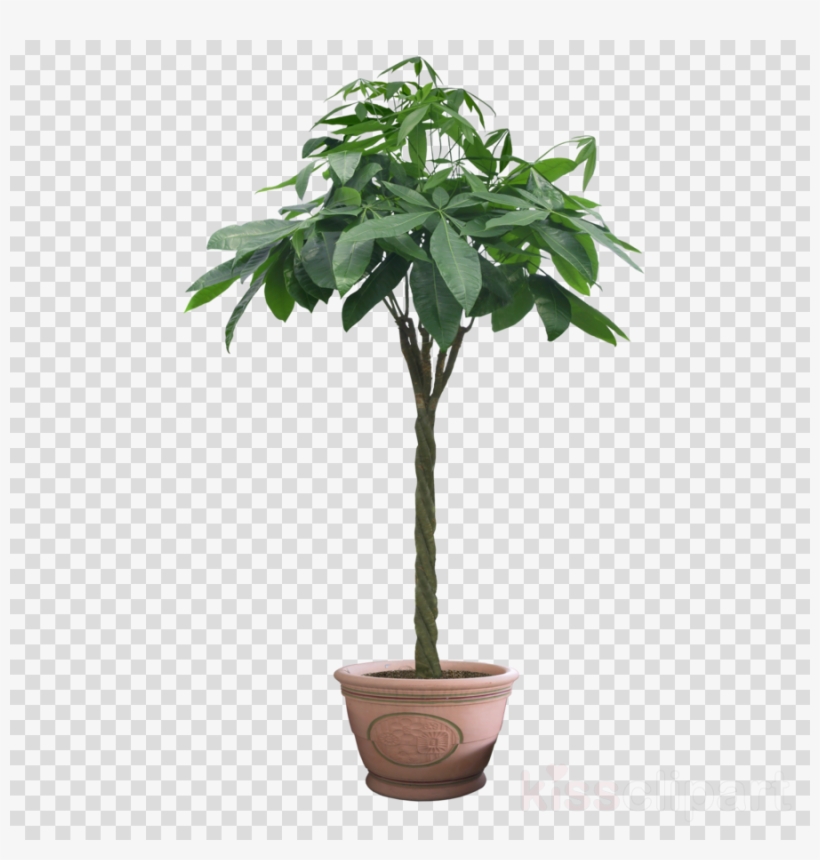 Download Winsoon 5ft Black Single Rustic Sliding Barn - Plant In Pot Png, transparent png #5144726