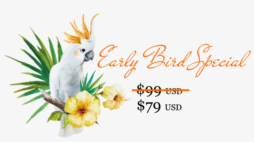 Be Sure To Check Back Tomorrow When I'll Release The - Parrots Decor Shower Curtain Set By Ambesonne, Hibiscus, transparent png #5145149